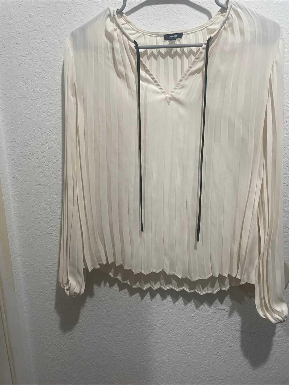 Express Cream Pleated Long-Sleeve V-Neck Blouse with Tie